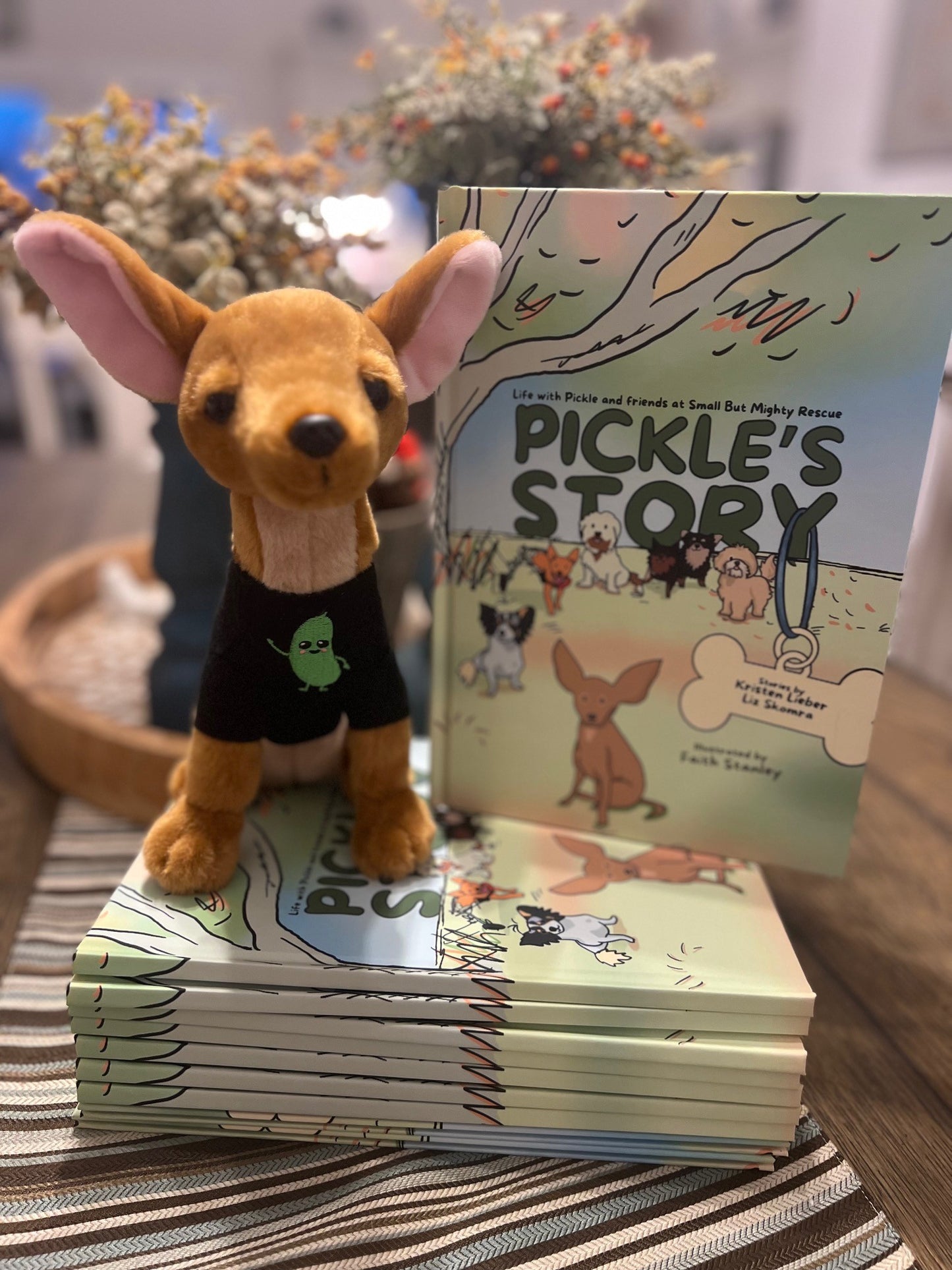 9" Pickle Plushie book character - Modeled after the "real Pickle"