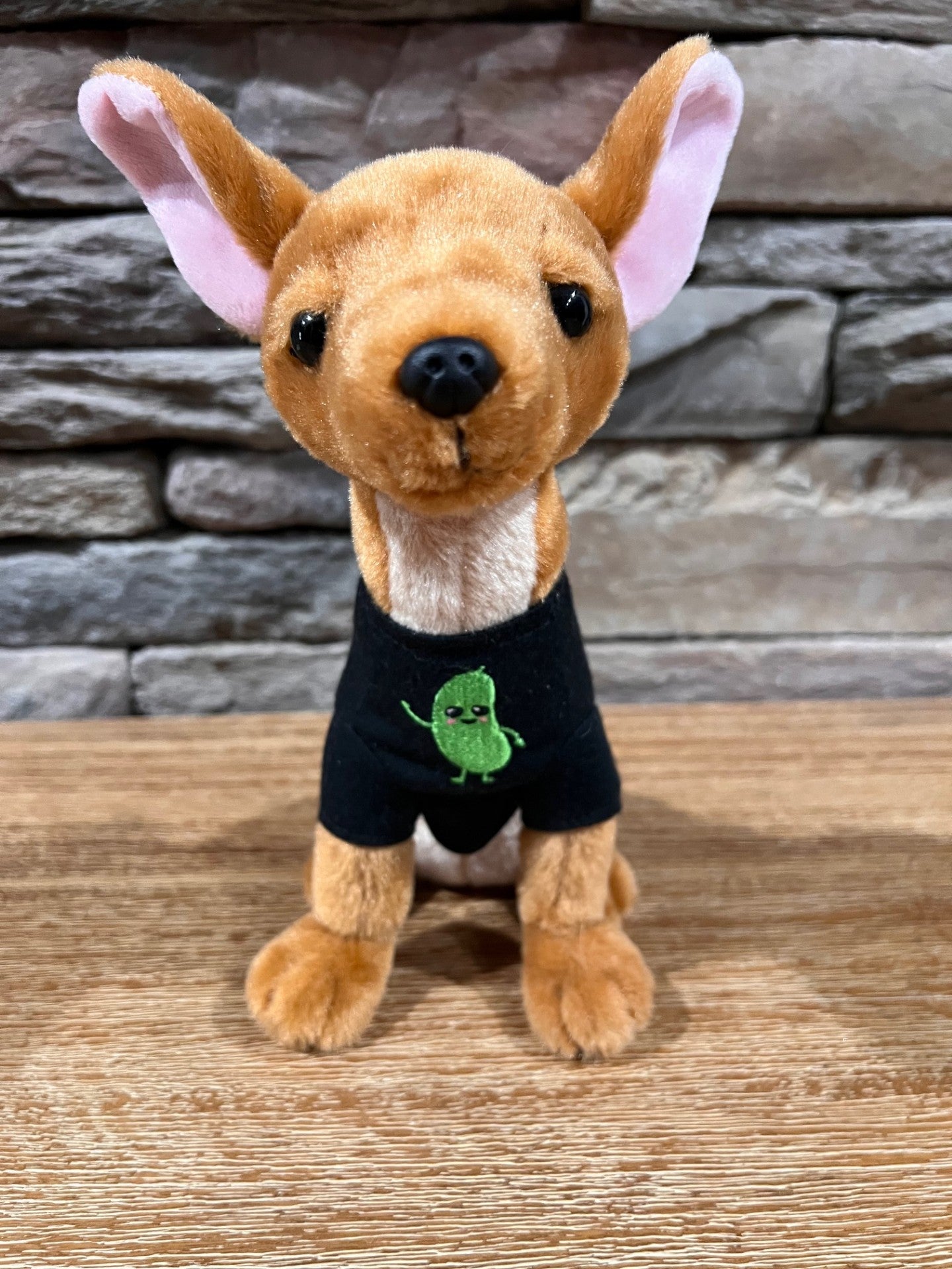 9" Pickle Plushie book character - Modeled after the "real Pickle"