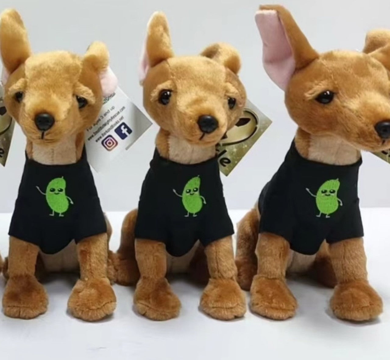 9" Pickle Plushie book character - Modeled after the "real Pickle"