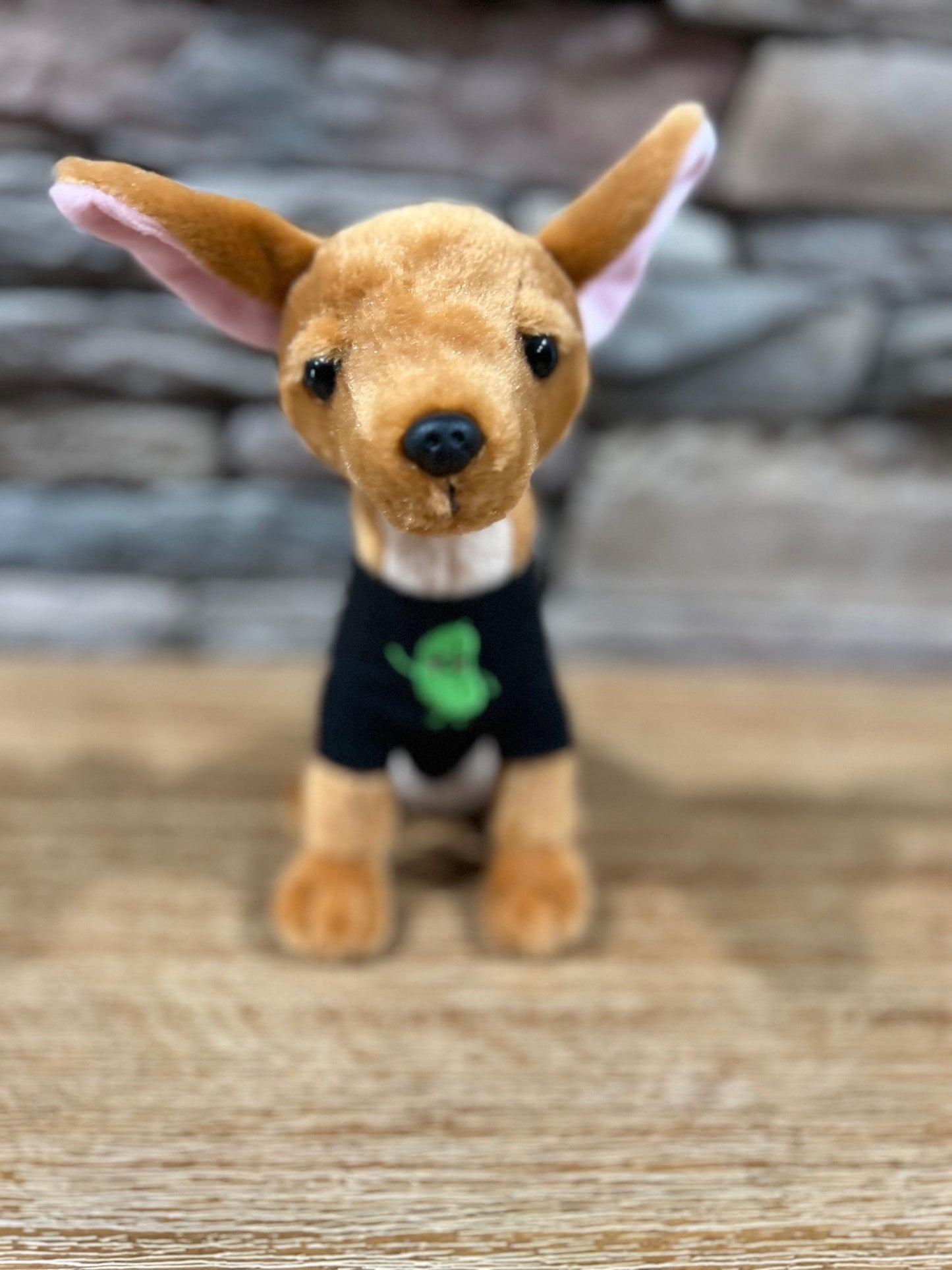 9" Pickle Plushie book character - Modeled after the "real Pickle"
