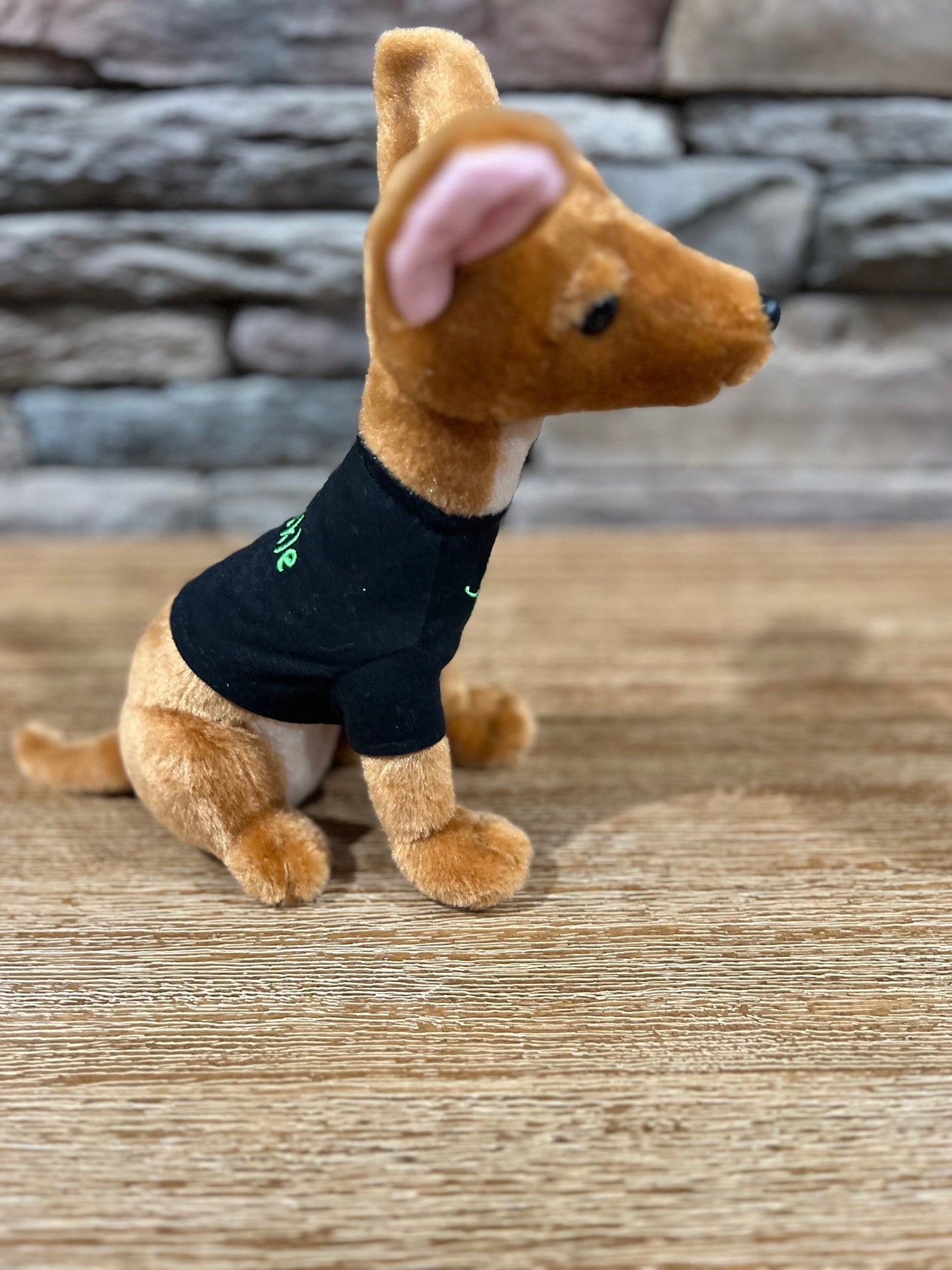 9" Pickle Plushie book character - Modeled after the "real Pickle"