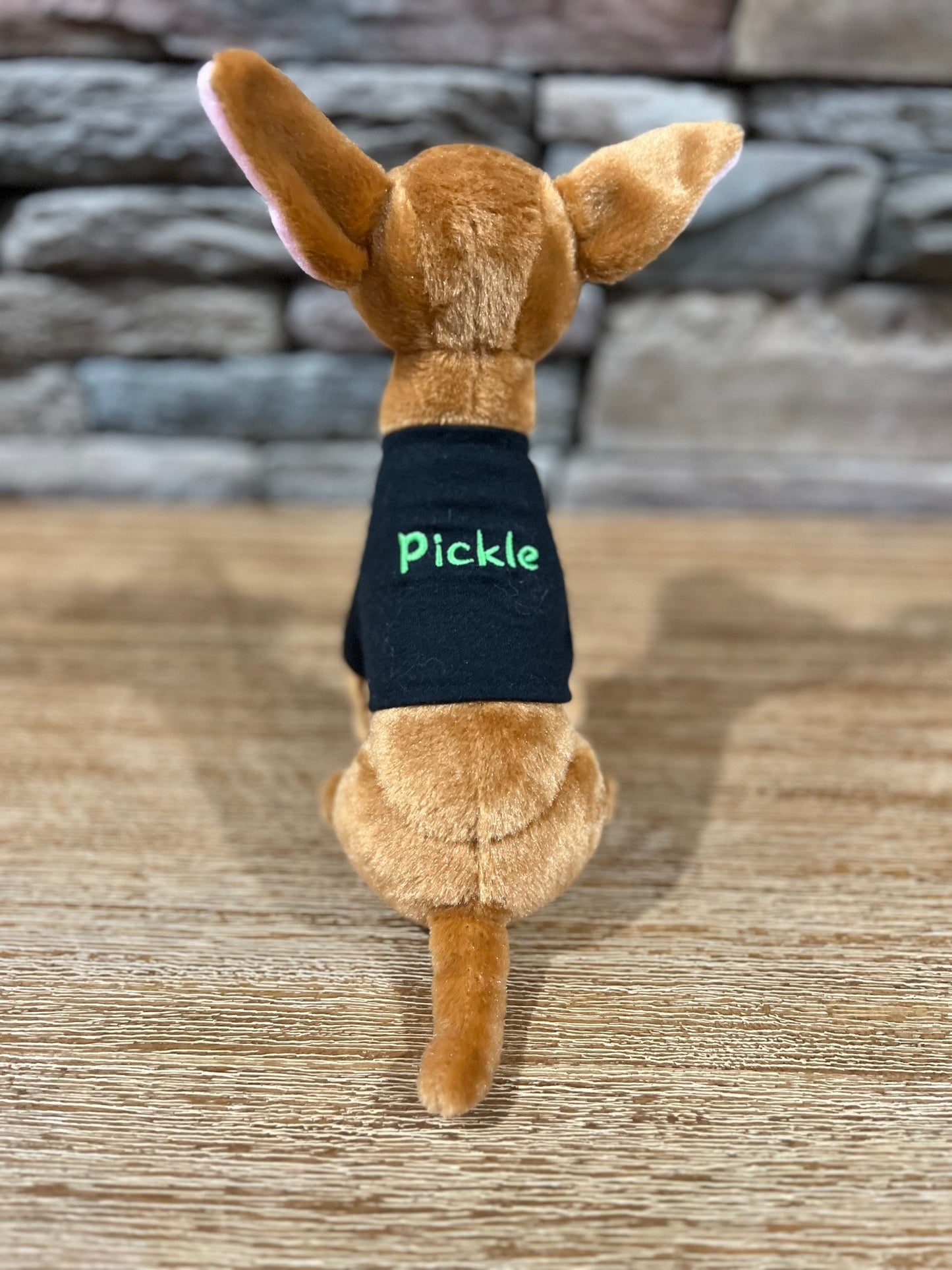 9" Pickle Plushie book character - Modeled after the "real Pickle"