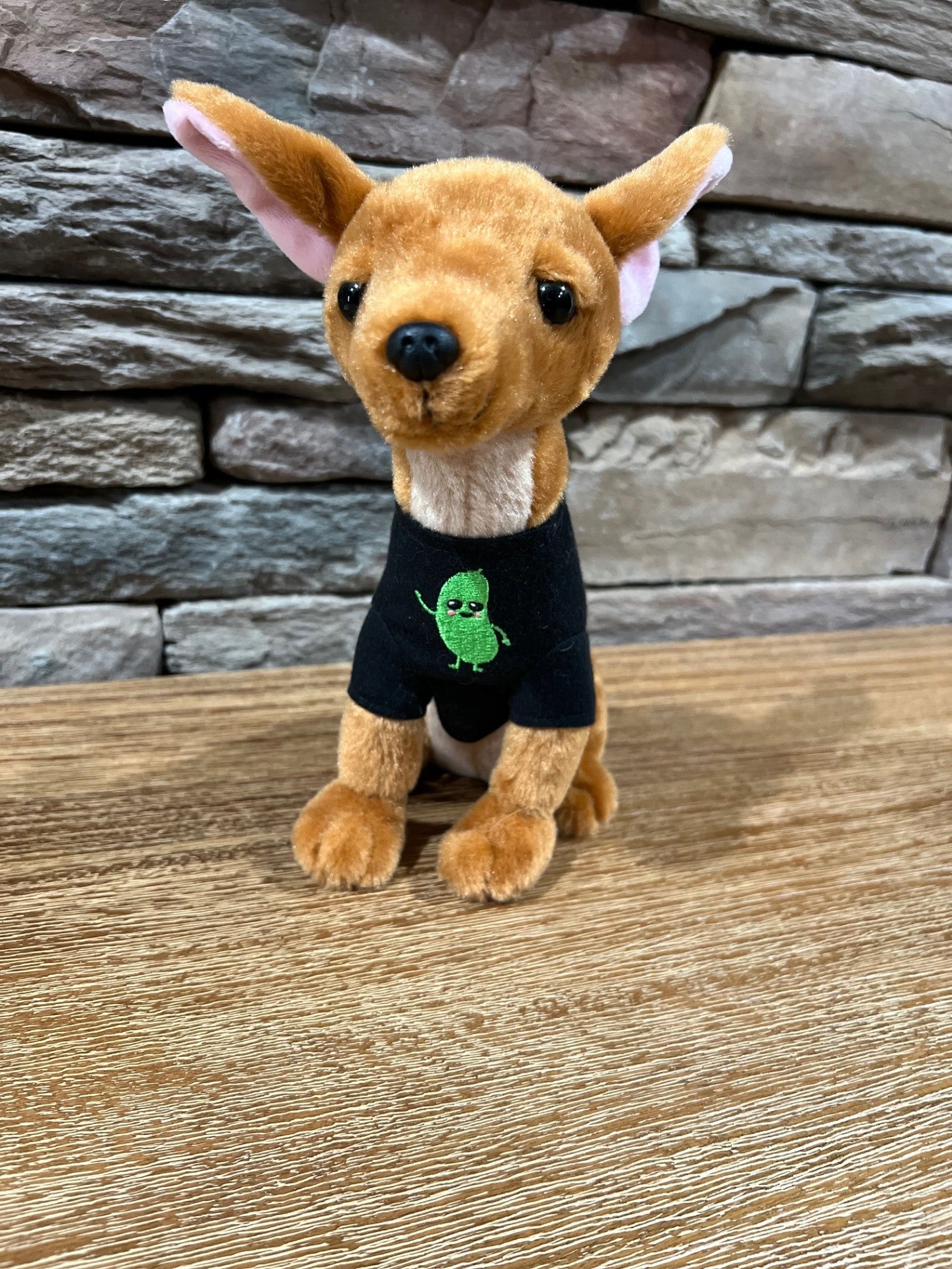 9" Pickle Plushie book character - Modeled after the "real Pickle"