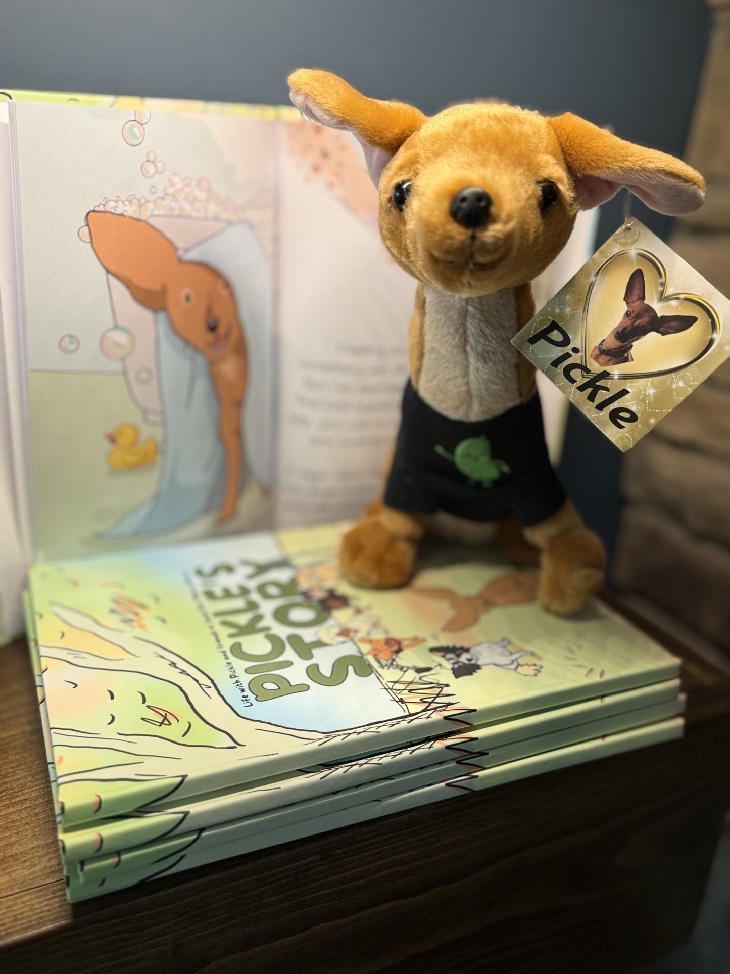 Pickle's Story Bundle Pack (Paperback edition)