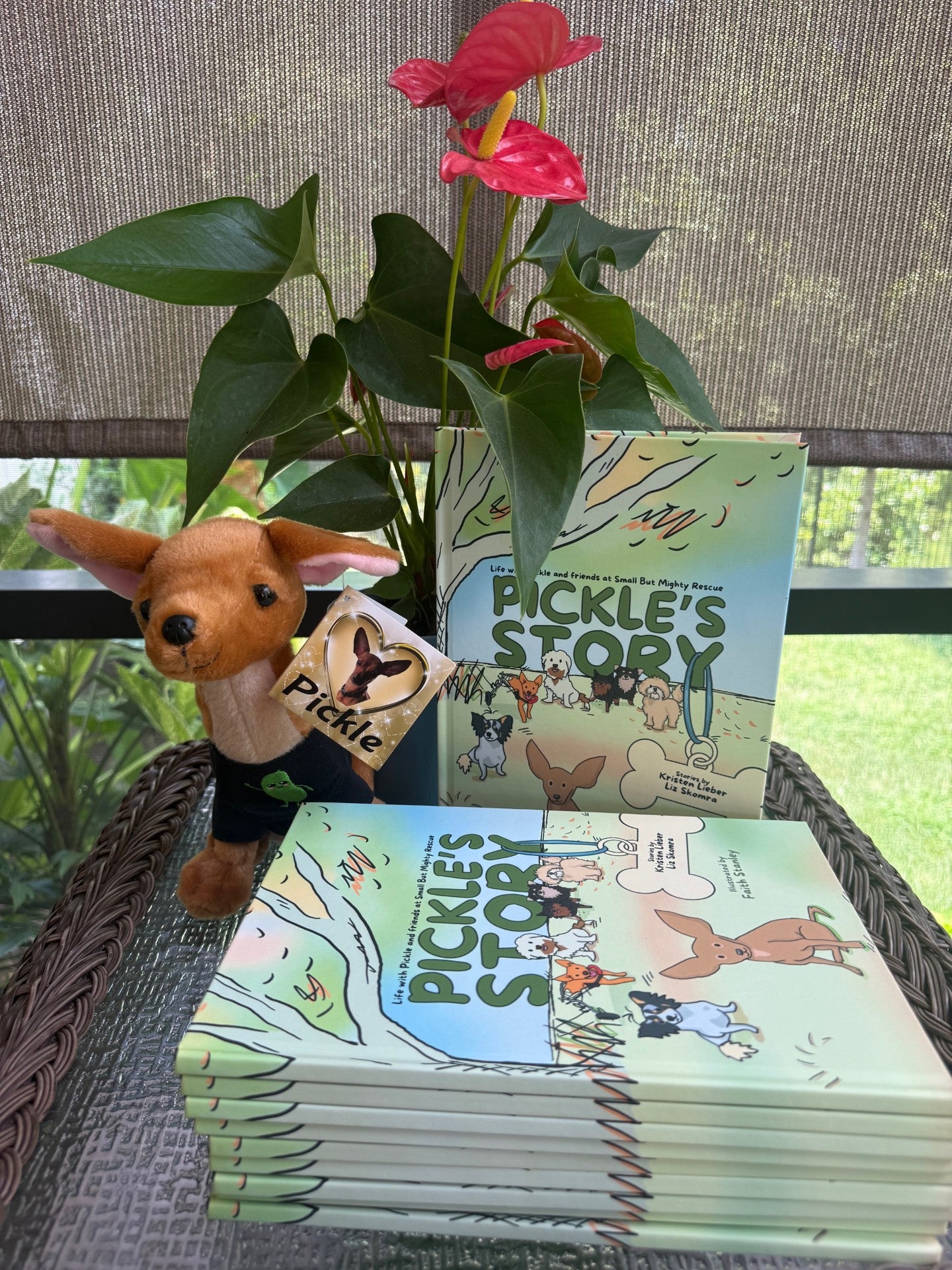 Classroom Pack - Paperback