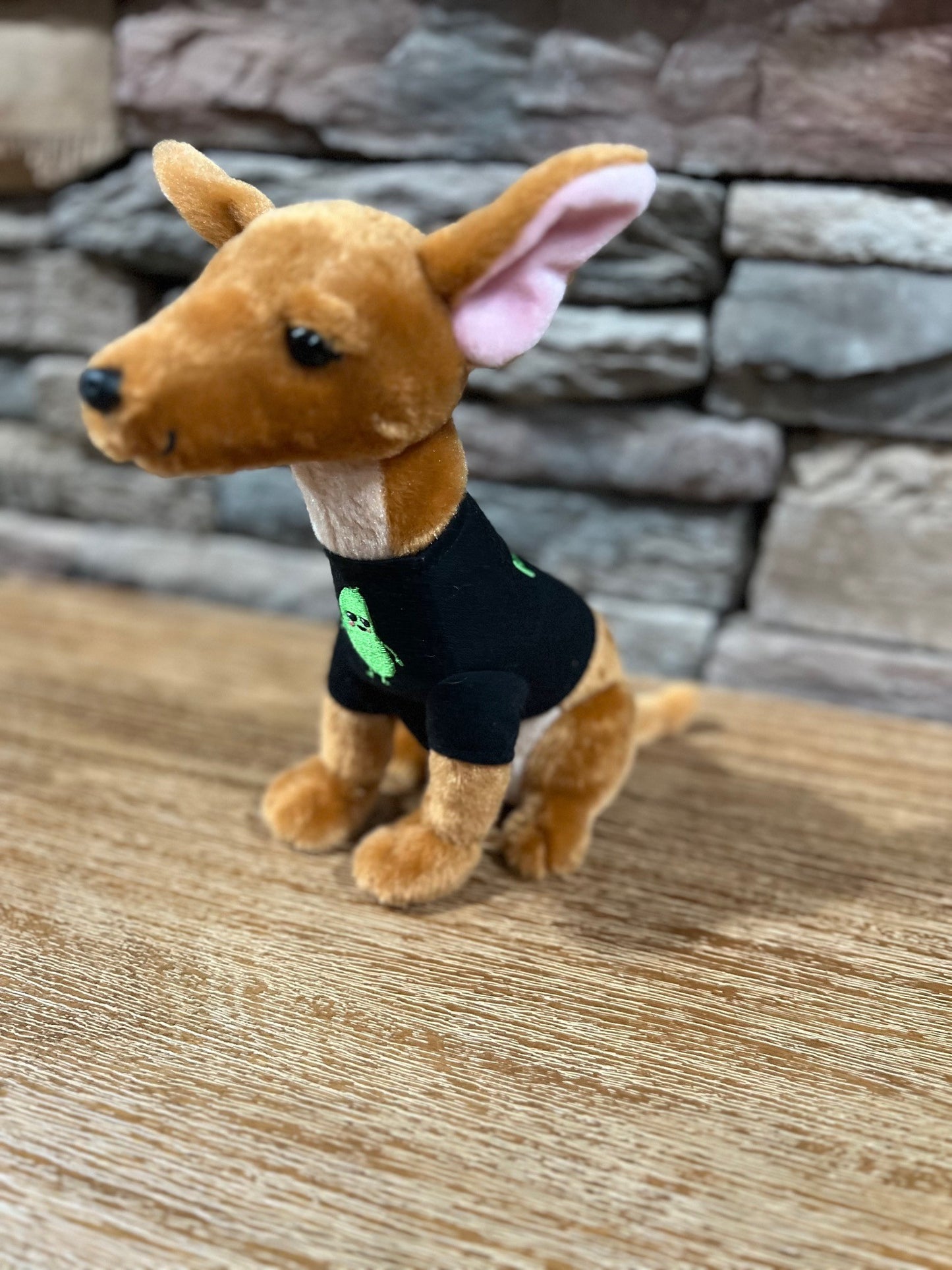 9" Pickle Plushie book character - Modeled after the "real Pickle"